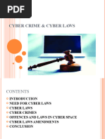 Cyber Laws