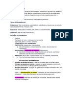 Avc - Sistema Endocrino