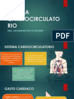 3 Sistema Cardiocirculatorio