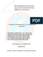 Audiencia Reforma Al Auto de Procesamiento