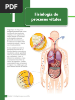 Introducción A Cuerpo Humano - Sistema Digestivo