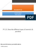 Lecture 6 and 7 Anaemia