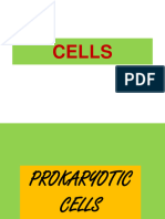 BIO 1400 Cells