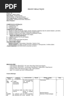 Proiect 6 Moyens de Transport