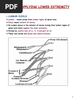 NOTES On NERVES SUPPLYING LOWER EXTREMITY (17 - 74 Pages)