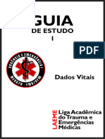 GUIA I - Dados Vitais - 230910 - 174430