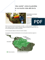 Articulo Amazonas