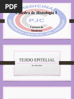 Tejido Epitelial