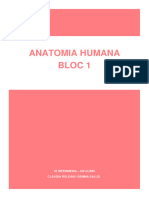 Bloque 1 Fisiología Enfermeria