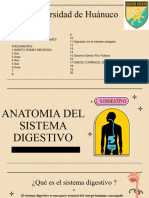 Histologia