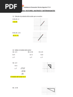 TRABAJO PRÁCTICO Vectores, Matrices, Determinanes RESUELTO