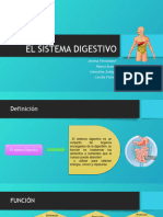 El Sistema Digestivo