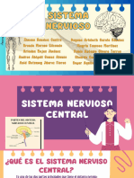 Anatomía y Fisiología Sistema Nervioso Simpático 2