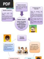 Psicologia Del Desarrollo