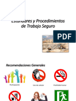 Estándares y Procedimientos Escrito de Trabajo Seguro