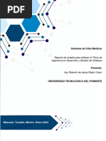 Reporte Estadía para Título IngenieríaDesarrolloyGestióndeSoftware-RobertoRejonCanul