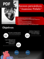 Pericardial Recess