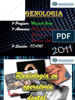 Trabajo de Operatoria Radiologia Completa