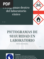 Pictogramas Dentro Del Laboratorio