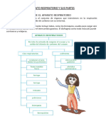 Aparato Respiratorio y Sus Partes para Cuarto Grado de Primaria