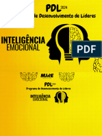 Treinamento - PDL - Inteligencia Emocional