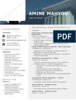 Amine MAHYOU CV