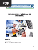 6.1antología Practicas de Auditoria