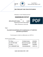 Memoire de Projet de Fin D'Etudes: La Professionnalisation de La Maintenance À L'entité Des Opérations Portuaires