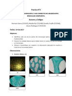 Informe Practica #2.2docx