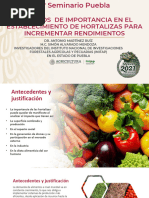 3 Seminario Aspectos de Importancia en El Establecimiento de Hortalizas para Incrementar Rendimientos