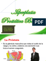 La Prostata 2024