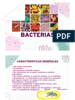 Bacterias