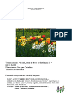 63 Proiect de Activitate Integrata