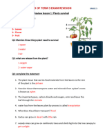 End of Term 3 Revision With Answers