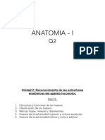 Reconocimiento de Las Estructuras Anatómicas Del Aparato Locomotor.