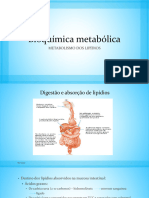 Metabolismo Dos Lipídios