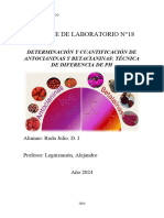 Informe de Laboratorio N°18 Pigmentos Naturales