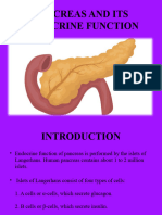 Pancreas and Its Endocrine Function