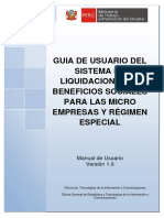 Manual Liquidacion Pequeña Empresa