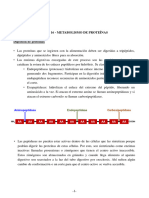 16-Metabolismo de Proteínas