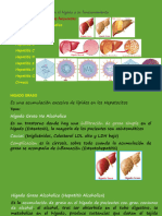 4 Hepatopatias Fisiopatol Ii Power Point