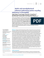 Metabolic and Neurobehavioral Disturbances Induced by Purine Recycling Deficiency in Drosophila