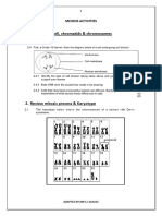 Meiosis Activities Student