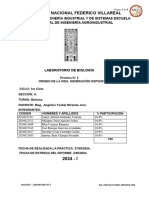 PRACTICA 2 - GENERACION ESPONTANEA - 1ERO A - Ing. Agroindustrial - GRUPO 4 - BIOLOGIA