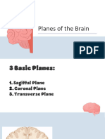 Planes of The Brain