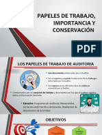 Papeles de Trabajo Importancia y Conserv