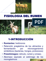 Clase 4 Fisiologia Ruminal Clase 2021