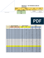 Pactica de Topo 4