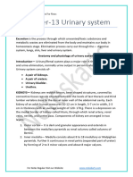 Chapter 13 Urinary System Anatomy and Physiology of Urinary System Physiology of Urine Formation PDF Notes by Noteskarts