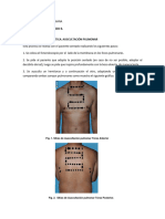 Guia Auscultacion Pulmonar